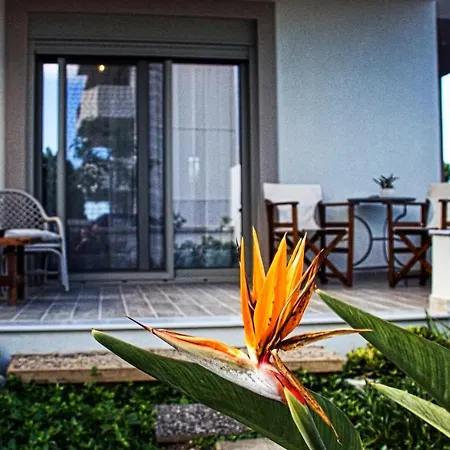 Tatil Evi Easy Living 1 & 2 İstanköy